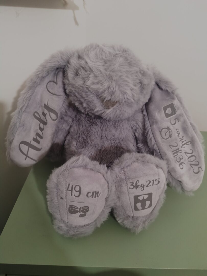 Lapin naissance 1 Lapin naissance