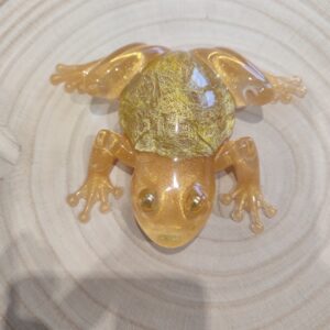 Accueil 8 grenouille