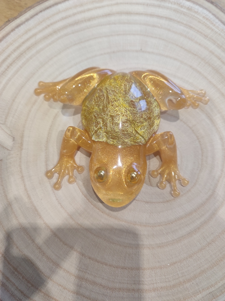 grenouille 1 grenouille